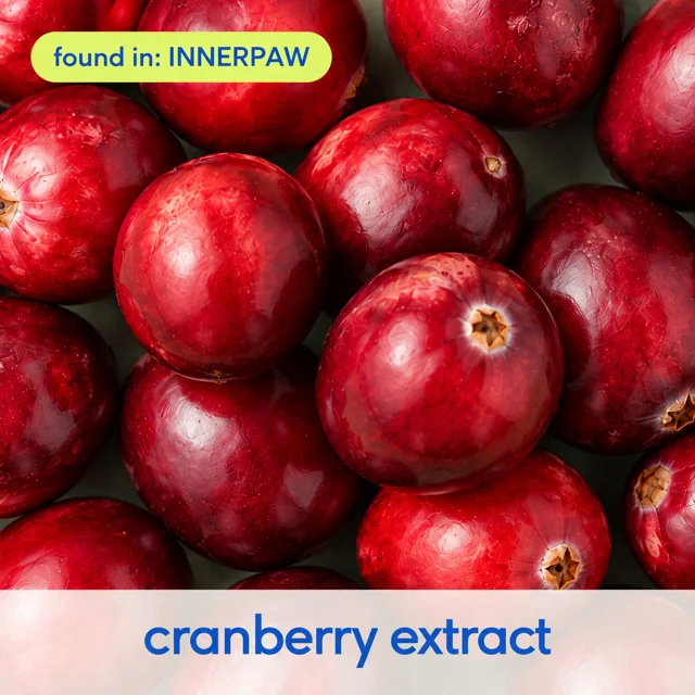 Cranberry Extract, found in InnerPaw Daily Drop