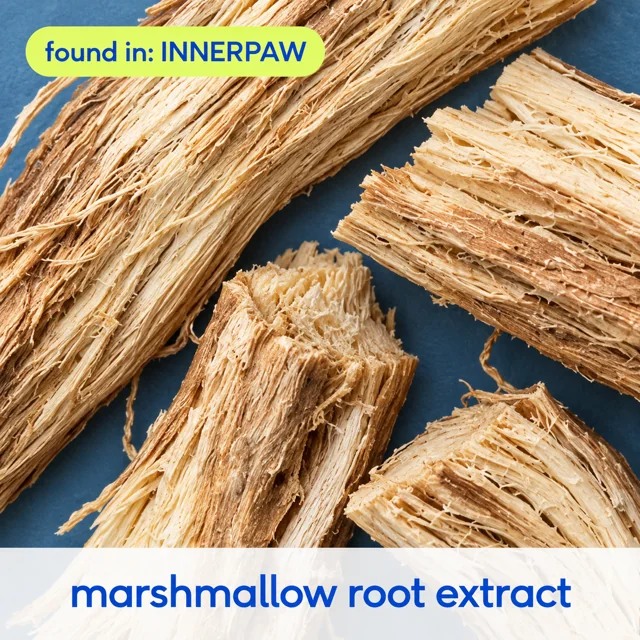 Marshmallow Root Extract, found in InnerPaw Daily Drop