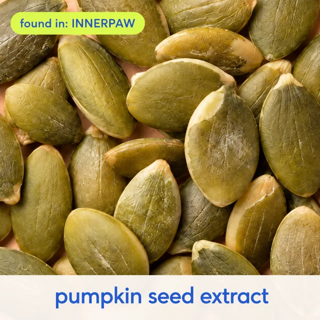 Pumpkin Seed Extract, found in InnerPaw Daily Drop