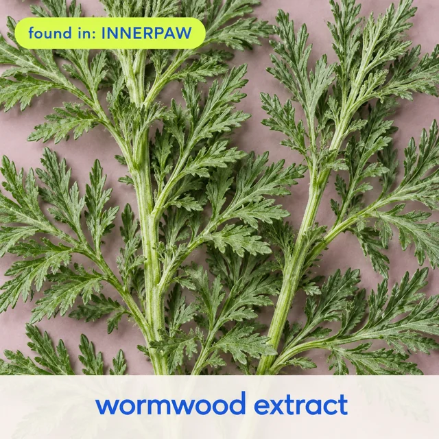 Wormwood Extract, found in InnerPaw Daily Drop