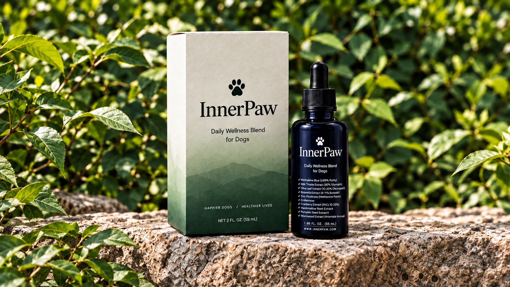 InnerPaw Daily Wellness carton and dropper bottle displayed outdoors on stone